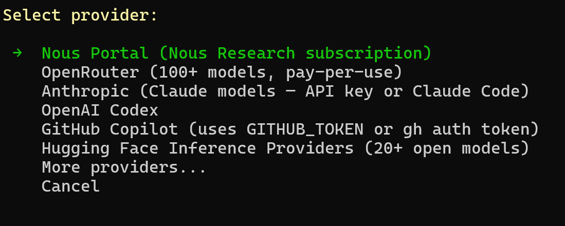 选择模型提供商:Nous Portal、OpenRouter、Claude、OpenAI等